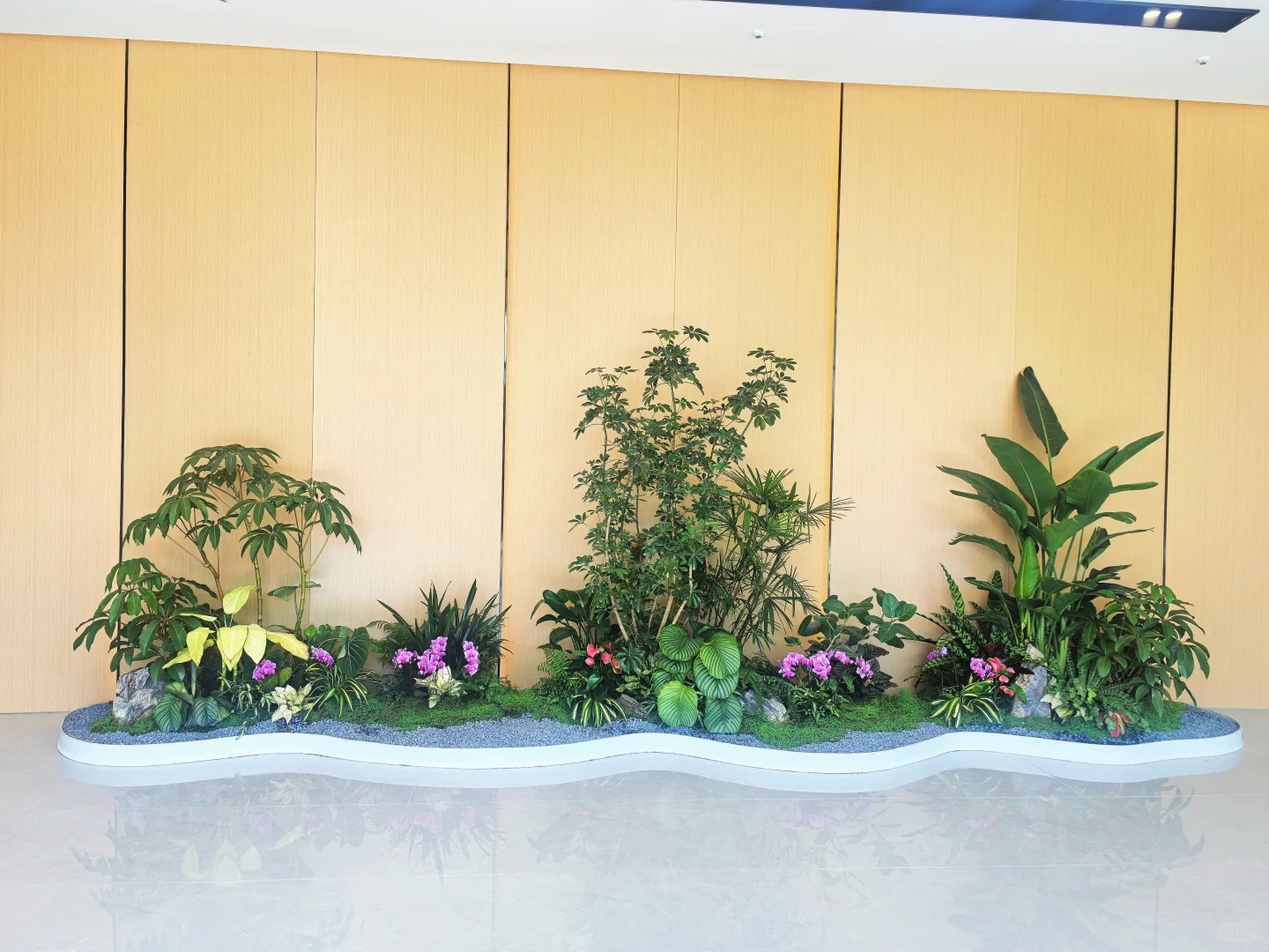 专业的江北盆景出租，让您的场所绿意盎然